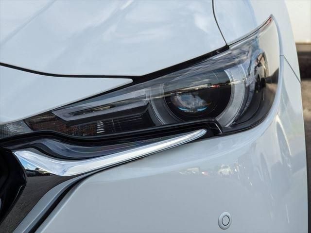 Mazda CX-8 2018-08 10418-8