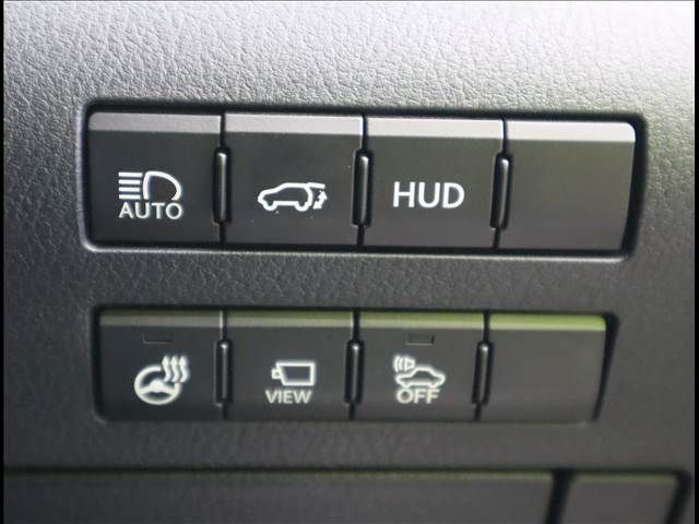 Lexus RX 2018-04 11096-13