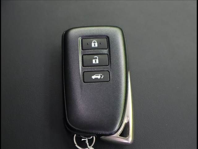 Lexus RX 2018-04 11096-16