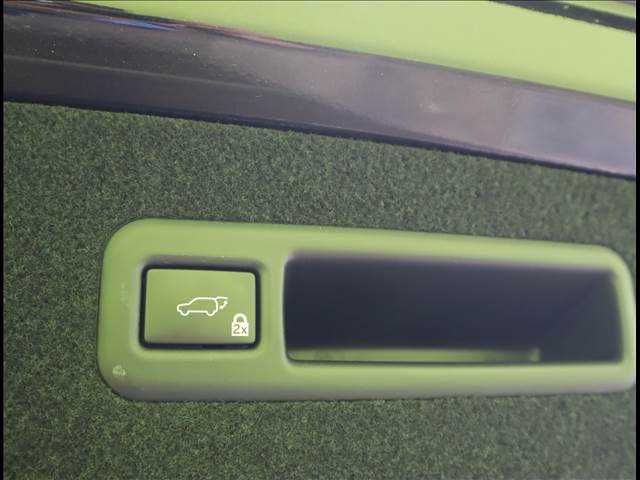 Lexus RX 2018-04 11096-29