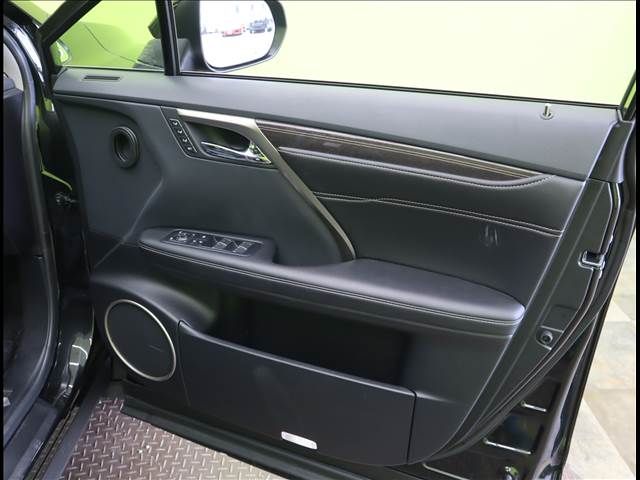 Lexus RX 2018-04 11096-22