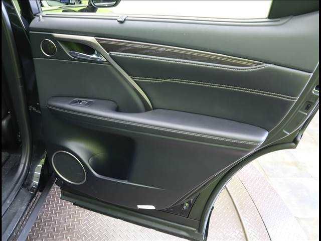 Lexus RX 2018-04 11096-25