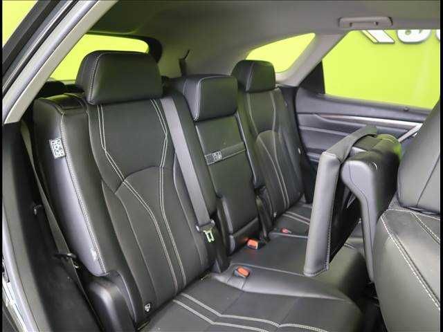 Lexus RX 2018-04 11096-24