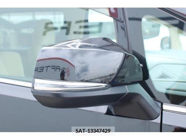 Toyota ALPHARD 2019-03 259256-10