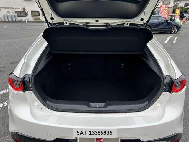 Mazda MAZDA3 2020-12 301090-15
