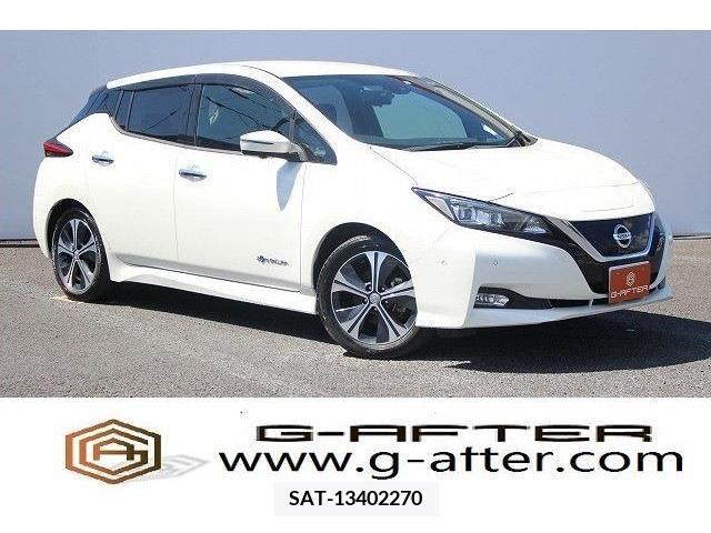 Nissan LEAF 2017-11 245599-0