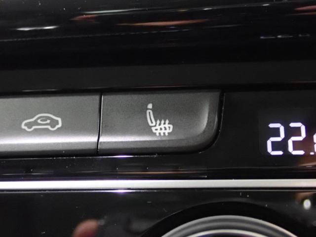 VolksWagen GOLF VARIANT 2020-01 10731-15