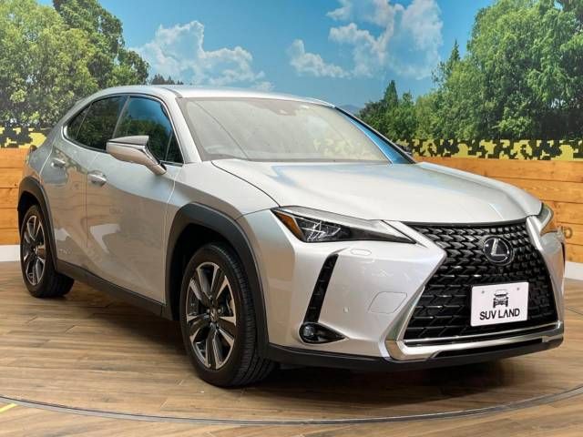 Lexus UX 2019-07 23077-16