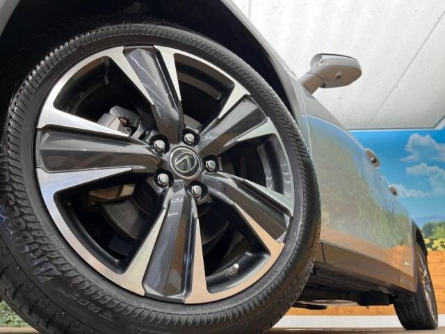Lexus UX 2019-07 23077-13