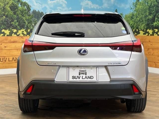 Lexus UX 2019-07 23077-15