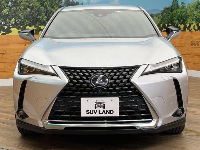Lexus UX 2019-07 23077-14