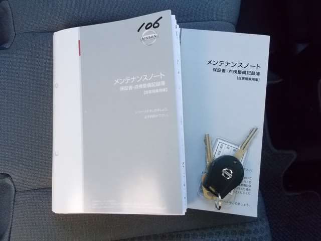 Nissan Wingroad 2017-06 183190-5