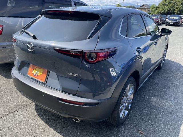 Mazda CX-30 2019-12 191481-2