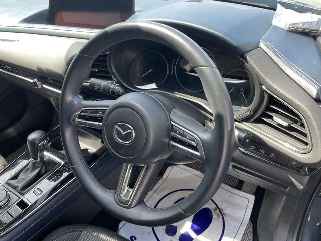 Mazda CX-30 2019-12 191481-9