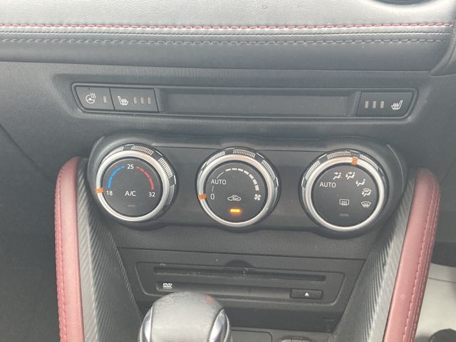 Mazda CX-3 2018-03 11636-9