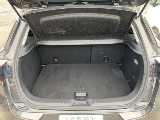 Mazda CX-3 2018-03 11636-16