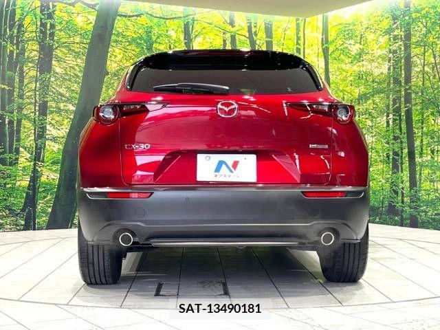Mazda CX-30 2021-12 338770-15