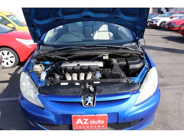 Peugeot 307 2004-03 193498-17