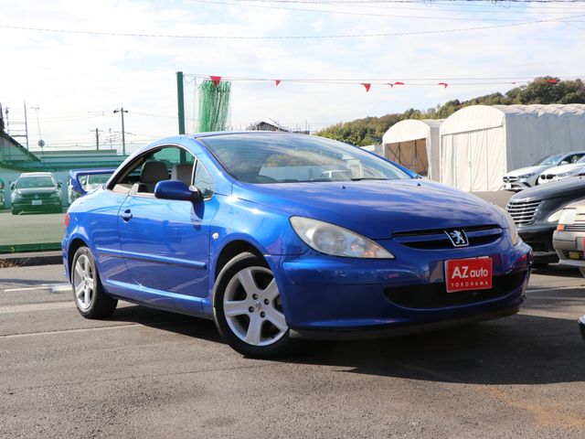 Peugeot 307 2004-03 193498-19