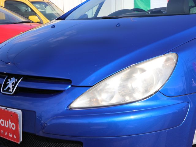 Peugeot 307 2004-03 193498-18