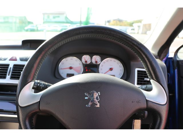 Peugeot 307 2004-03 193498-1