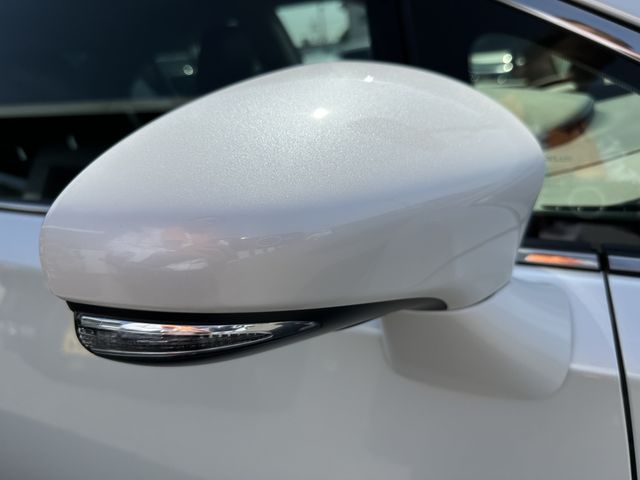 Lexus HS 2018-03 3823-23