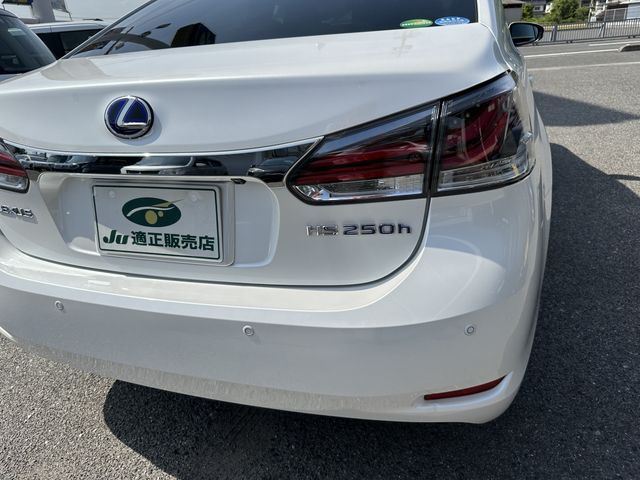 Lexus HS 2018-03 3823-10