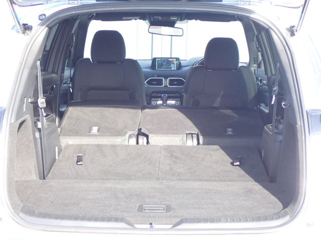 Mazda CX-8 2019-08 7437-19