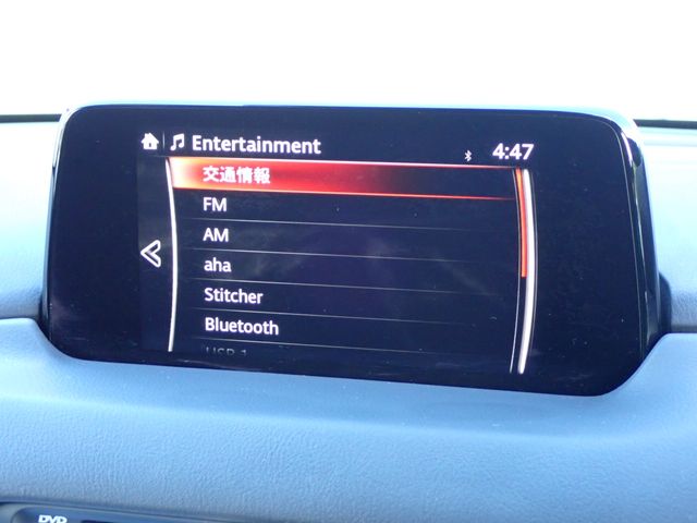 Mazda CX-8 2019-08 7437-3