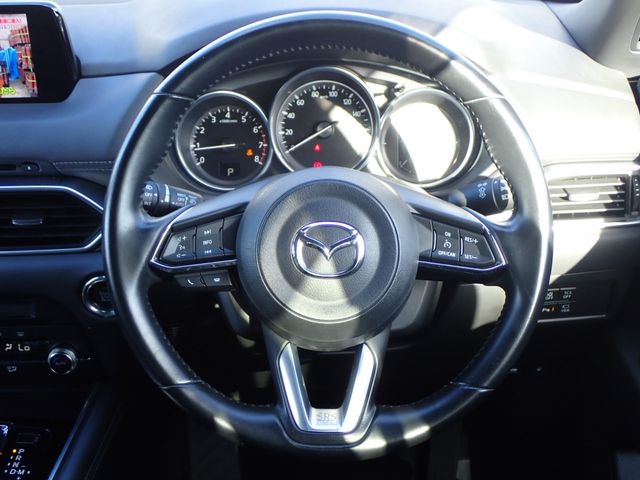 Mazda CX-8 2019-08 7437-5