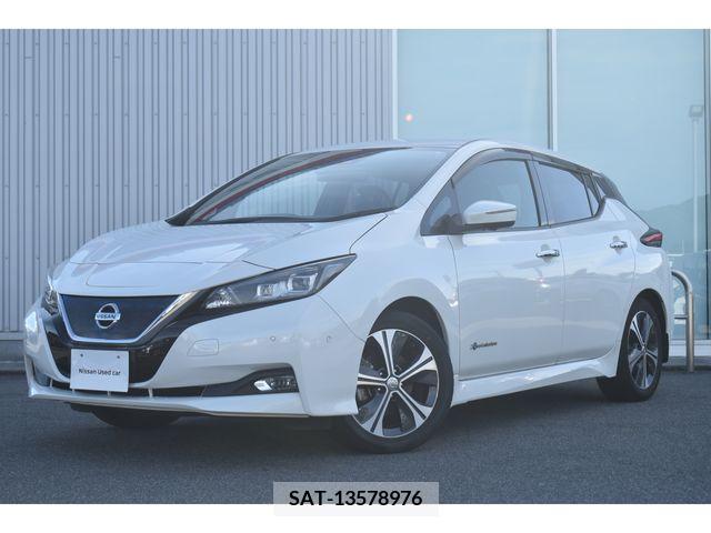 Nissan LEAF 2019-01 324790-0