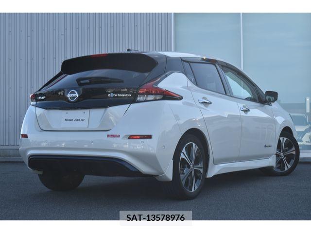 Nissan LEAF 2019-01 324790-1