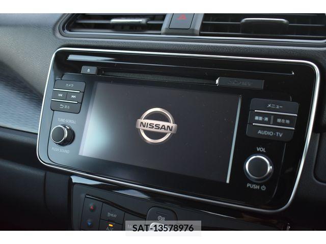 Nissan LEAF 2019-01 324790-3