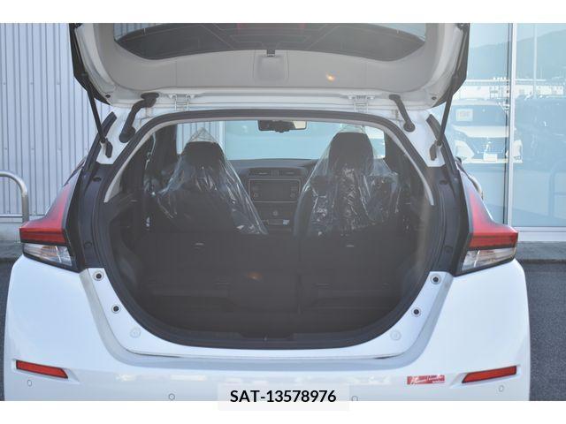 Nissan LEAF 2019-01 324790-19