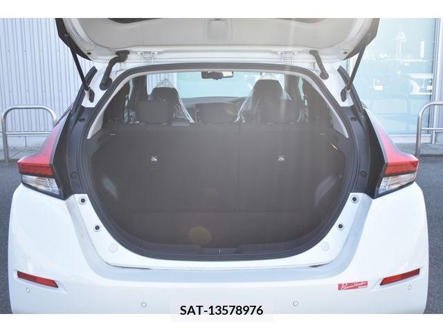 Nissan LEAF 2019-01 324790-18