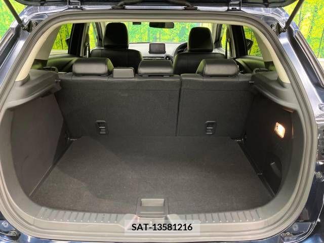 Mazda CX-3 2019-12 233830-10