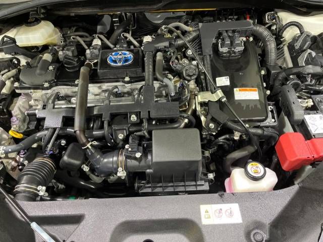 Toyota C-HR 2021-02 189046-18