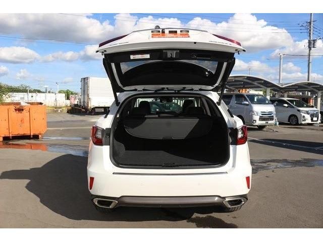 Lexus RX 2016-03 4973-9