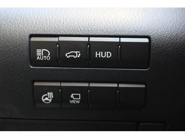 Lexus RX 2016-03 4973-16