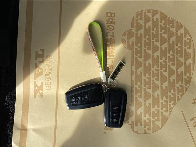 Toyota PRADO 2021-10 8597-18