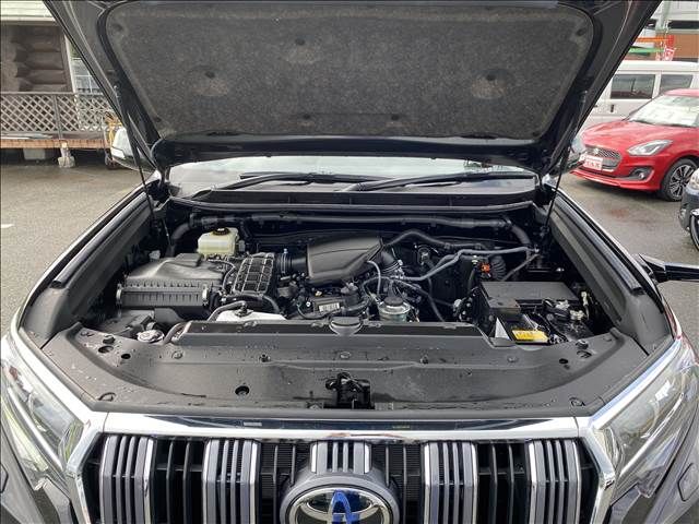 Toyota PRADO 2021-10 8597-17