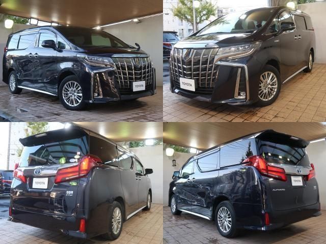 Toyota ALPHARD HYBRID 2021-03 186124-2