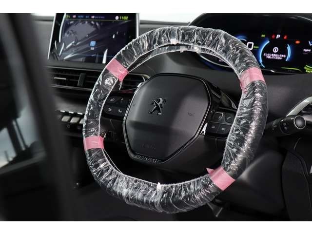 Peugeot 3008 2023-06 11289-9