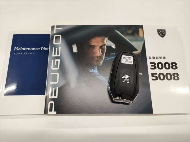 Peugeot 3008 2023-06 11289-28