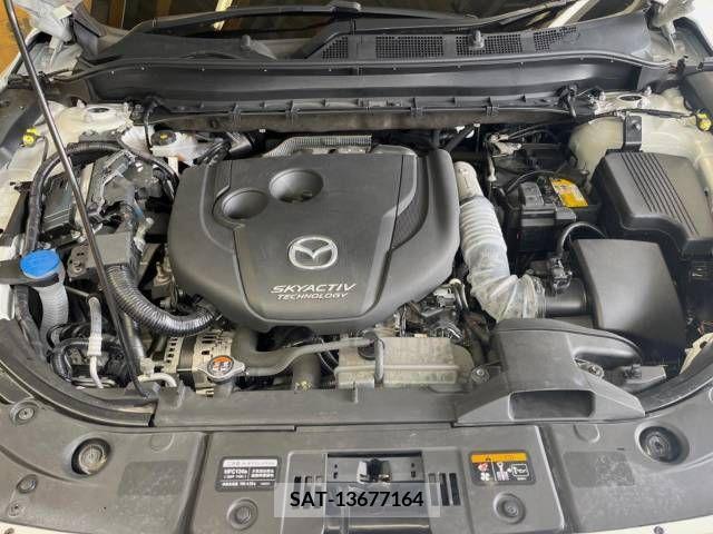 Mazda CX-8 2019-06 266593-19