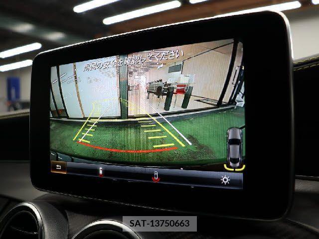 Amg C-CLASS 2016-08 356018-8