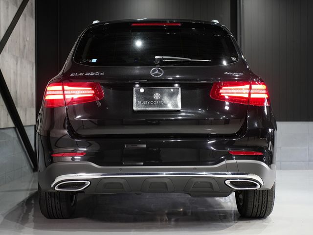 Mercedes Benz GLC-CLASS 2017-07 6262-4