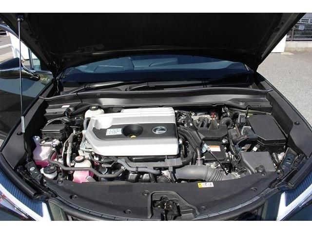 Lexus UX 2020-08 10726-16