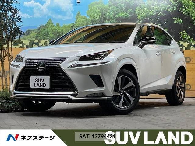 Lexus NX 2020-10 275641-0