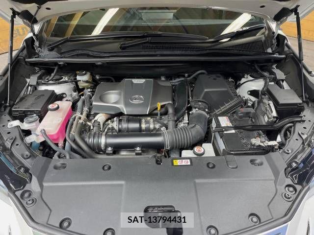 Lexus NX 2020-10 275641-18